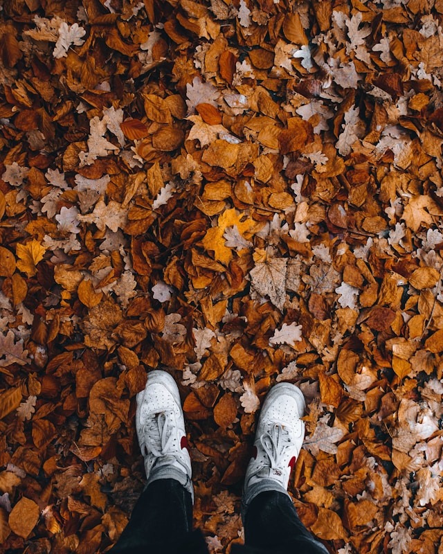 depression saisonnière symptome